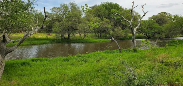 a view of a lake with a yard