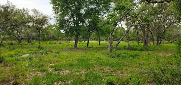 a view of a lush green space