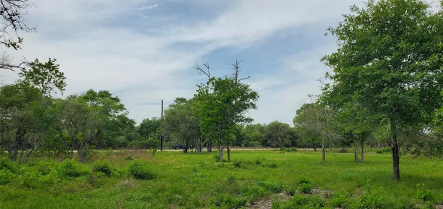 a view of field with trees in the background