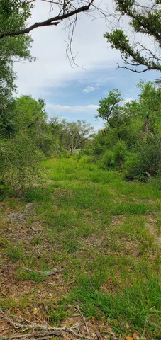 a view of a field with an ocean and trees