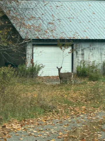 $499,000 | 176 Millet Road, Garland, ME 04939