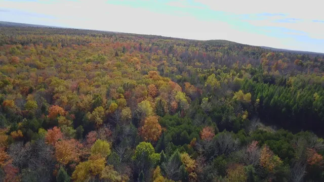 $499,000 | 176 Millet Road, Garland, ME 04939