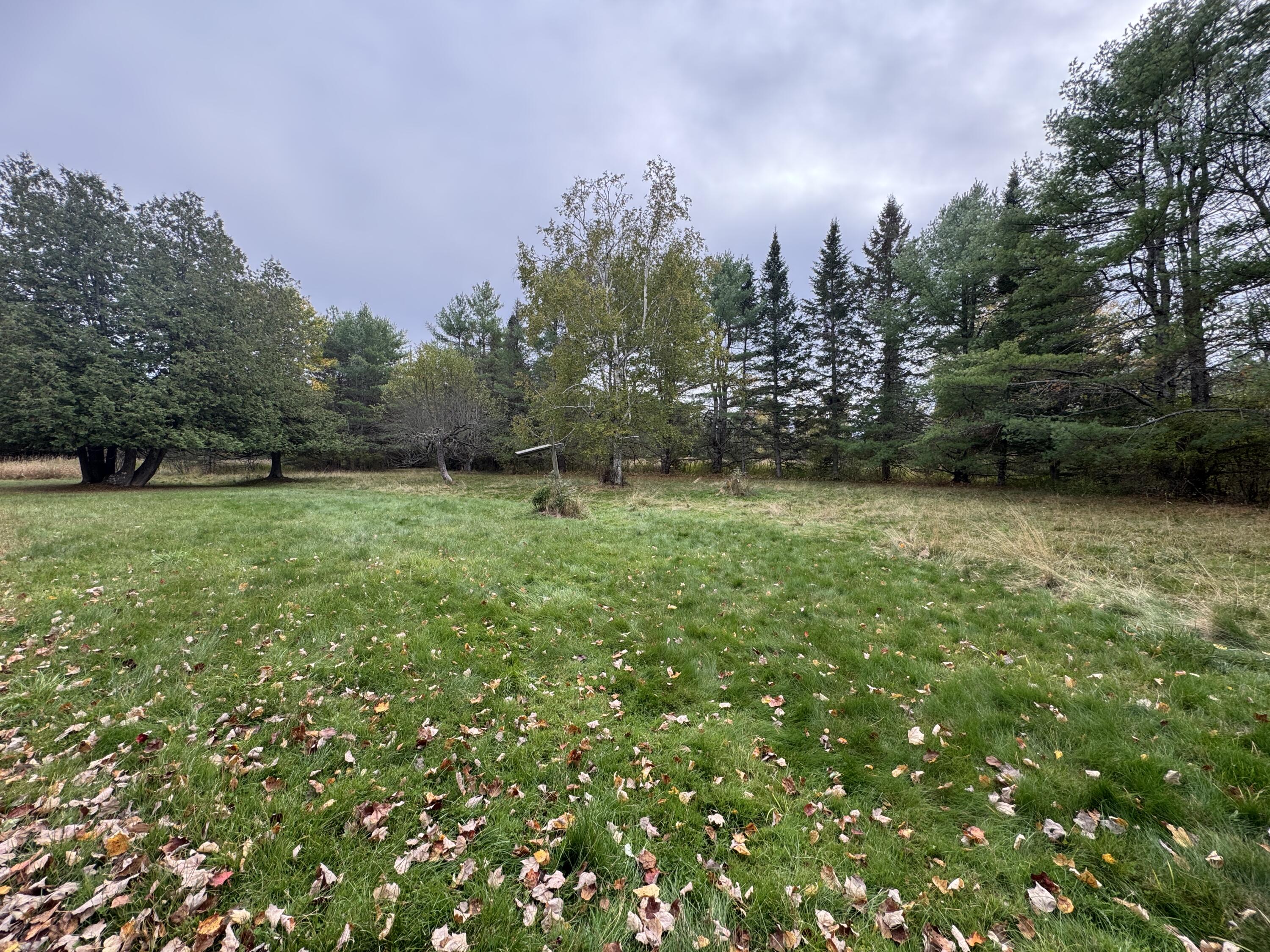 176 Millet Road Garland, ME 04939 - Photo 70 of 84 IMG_7482