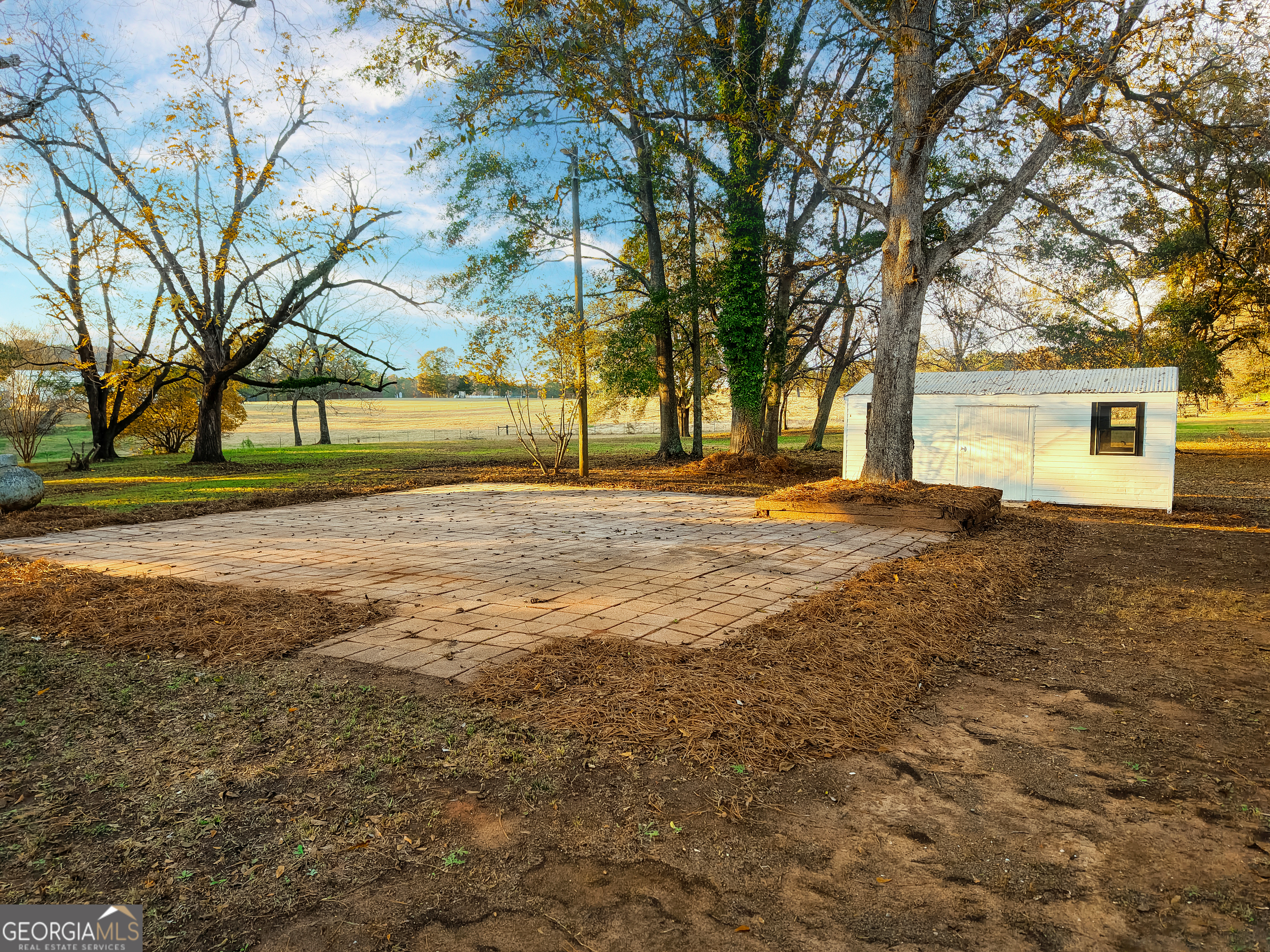 269 Martin Dairy Road Milner, GA 30257 - Photo 51 of 71 a view of dirt yard with large trees
