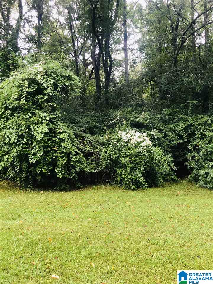 7601 Clayton Road Pinson, AL 35126 - Photo 44 of 44