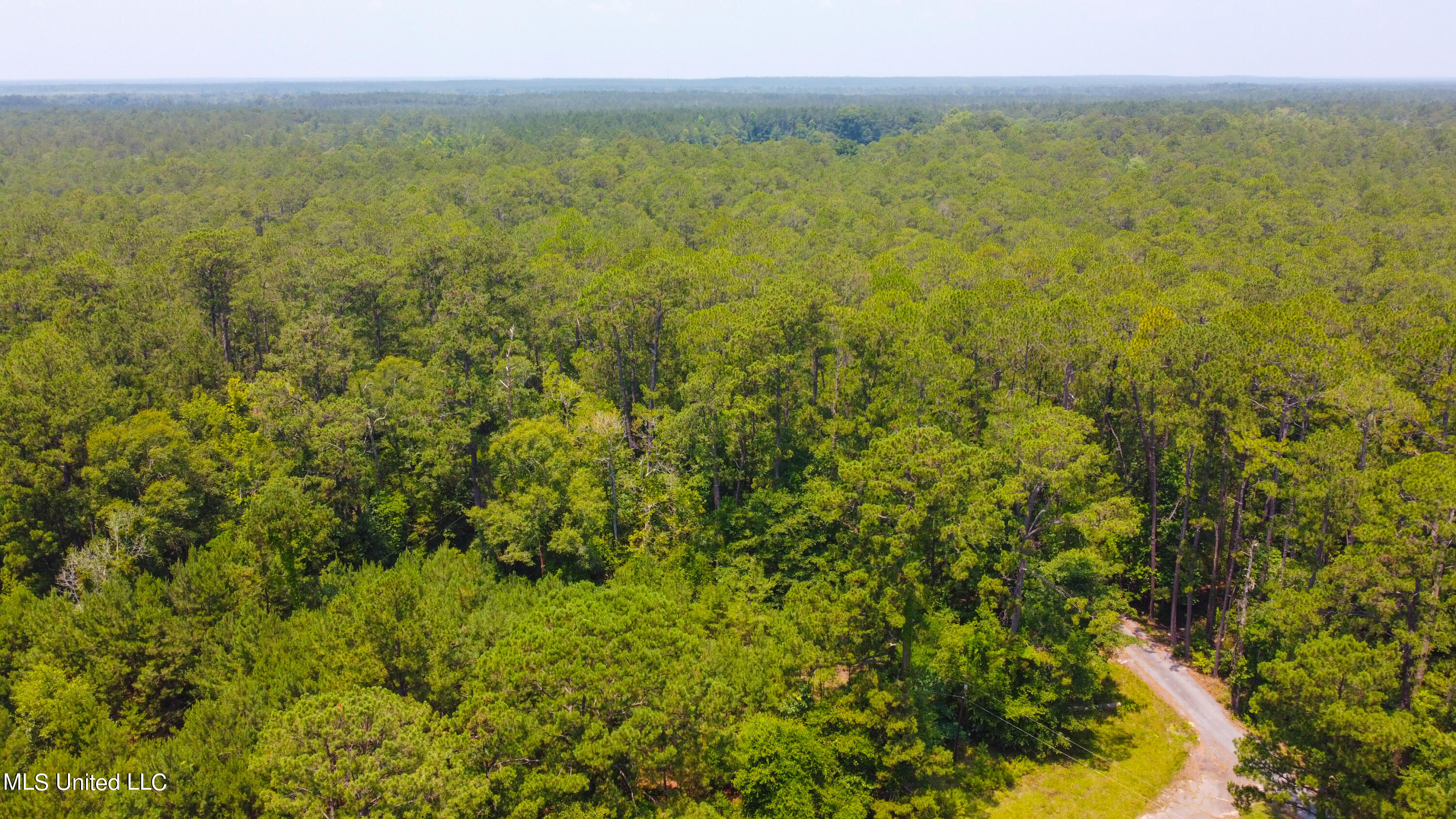 1101 Reg Green Road Perkinston, MS 39573 - Photo 14 of 24 0BD32B3D-30A5-4061-8353-BDCD791634A3