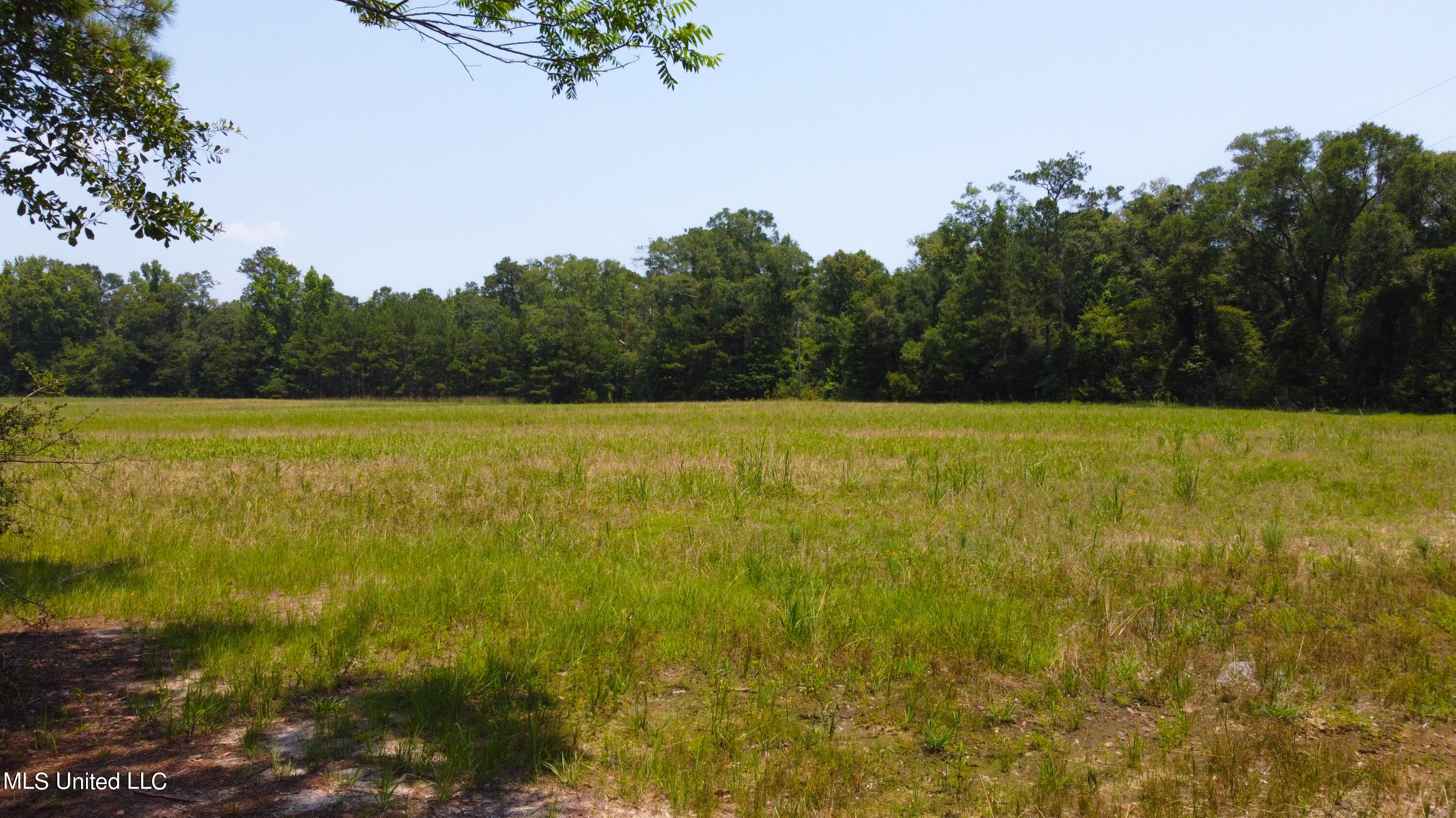 1101 Reg Green Road Perkinston, MS 39573 - Photo 16 of 24 B4DA095D-06DC-4384-809E-8A03D69B089D