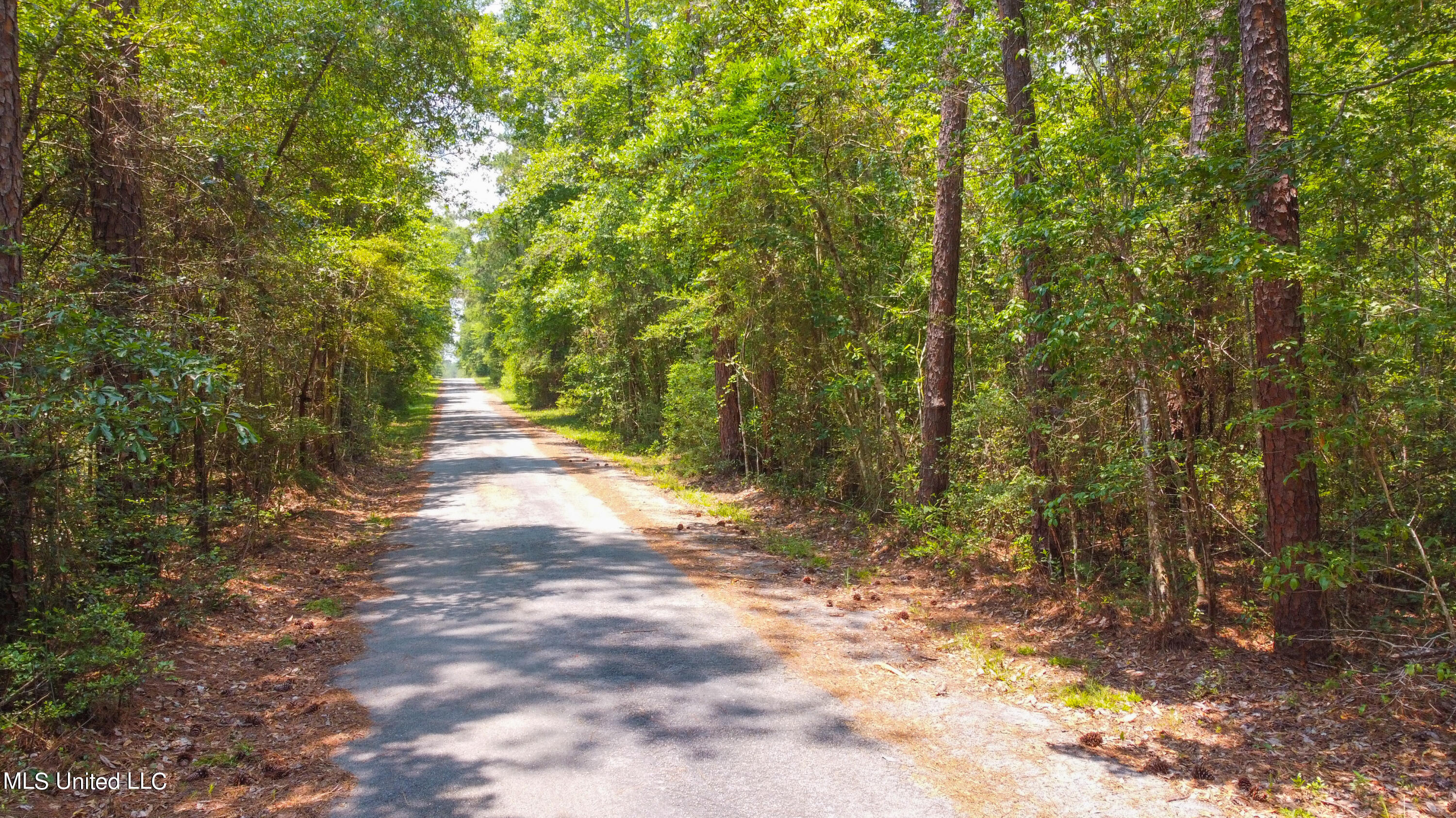 1101 Reg Green Road Perkinston, MS 39573 - Photo 17 of 24 65DCF440-9652-4091-9310-FE69BAAB6685