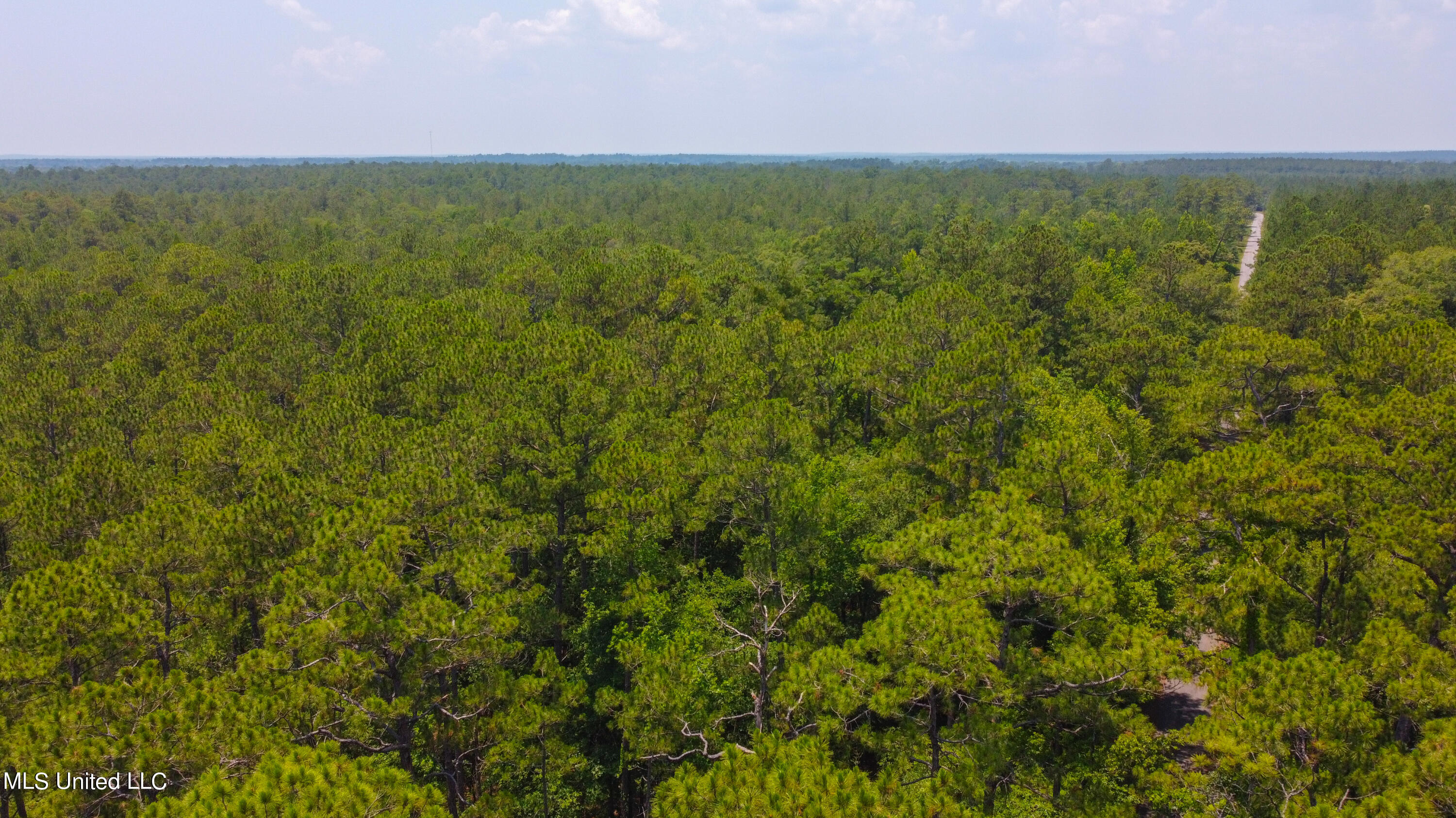 1101 Reg Green Road Perkinston, MS 39573 - Photo 18 of 24 2C8AFBC4-9797-4F28-97A1-C32C13418337