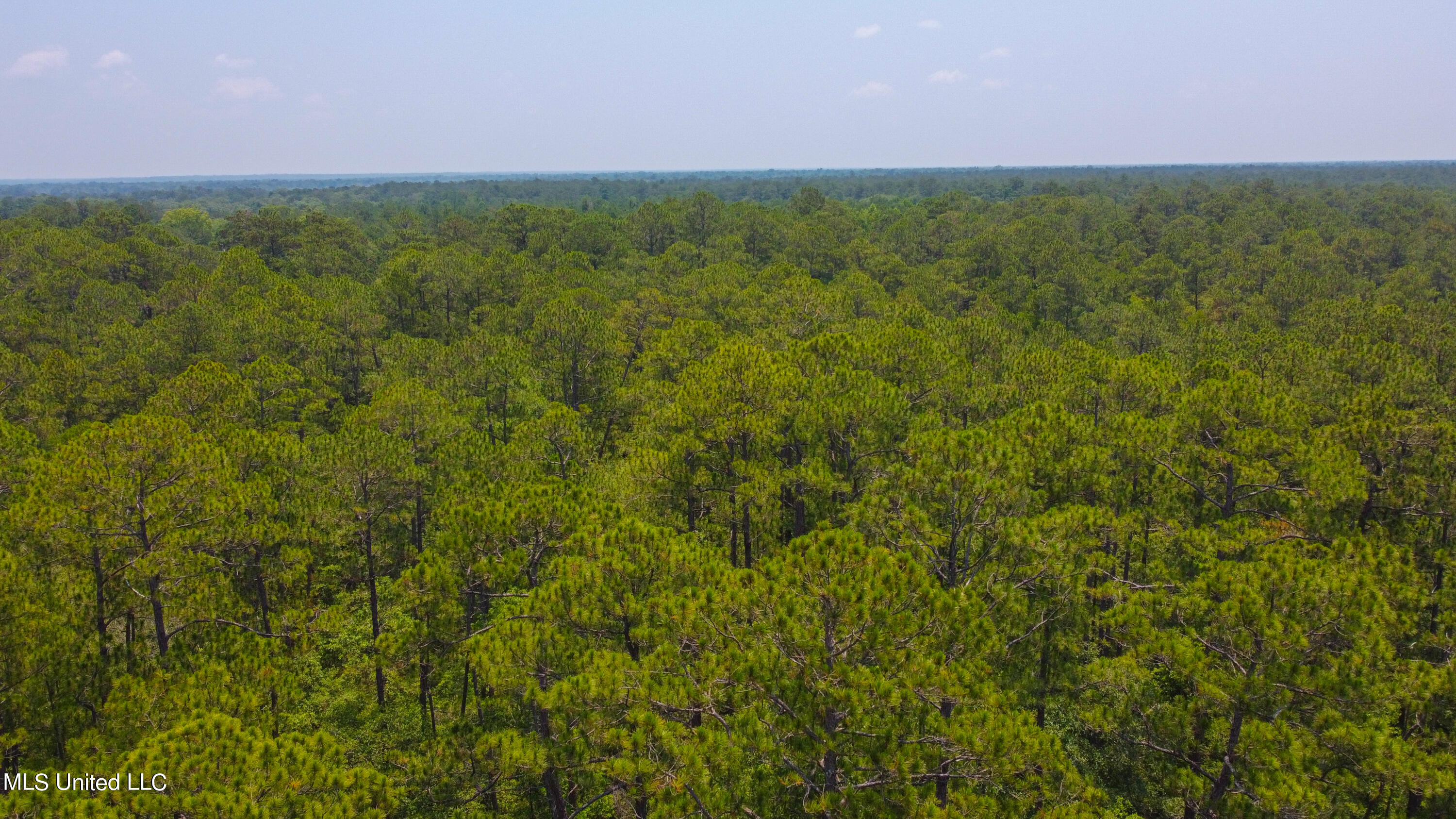 1101 Reg Green Road Perkinston, MS 39573 - Photo 19 of 24 565C01F0-1A3D-4326-90E9-B014011FA0E4