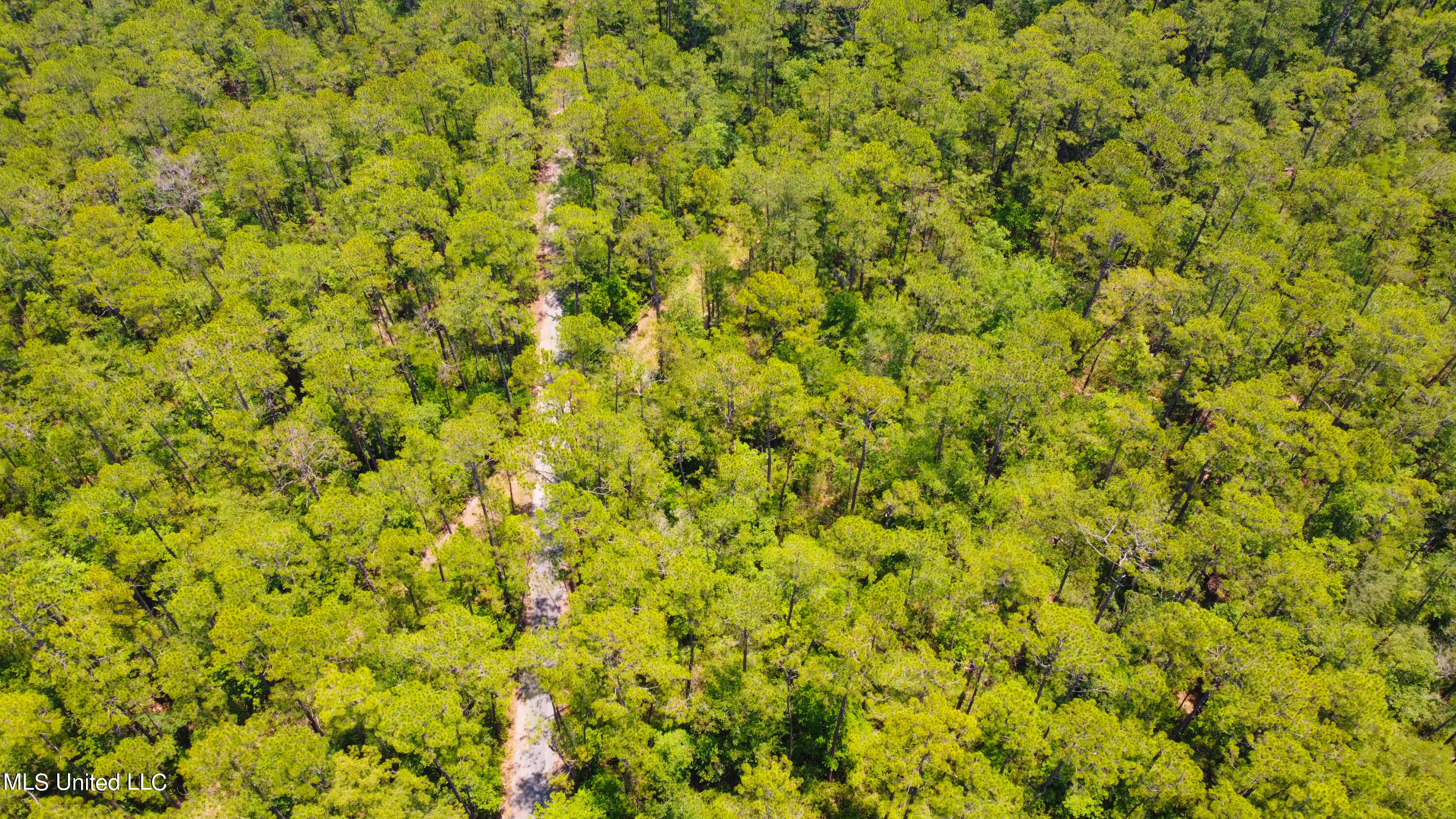 1101 Reg Green Road Perkinston, MS 39573 - Photo 20 of 24 C8190740-9C8F-4D62-9E72-1FF43DD47C95