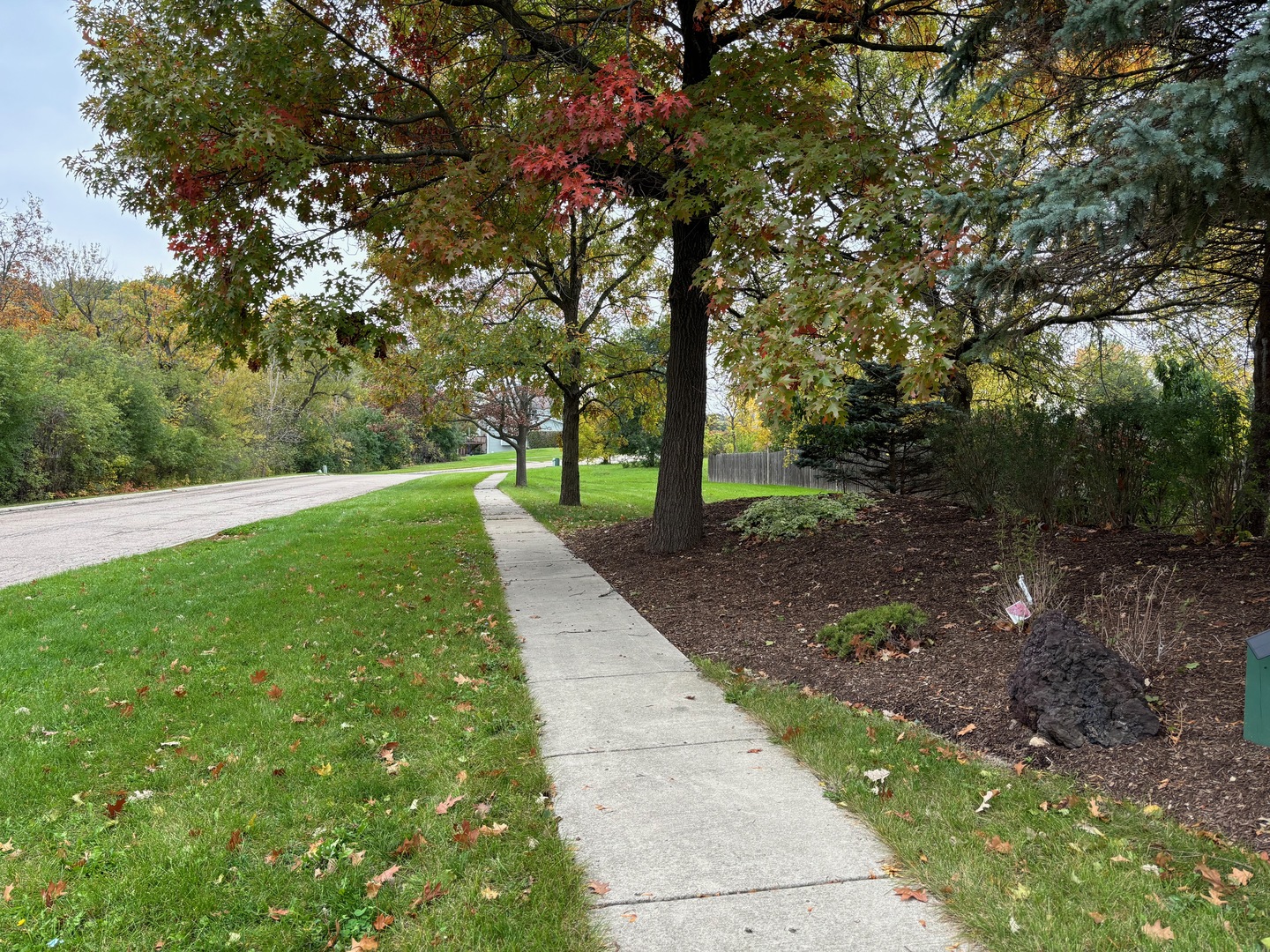 26297 West Larkin Lane Ingleside, IL 60041 - Photo 6 of 10 a view of a garden with trees