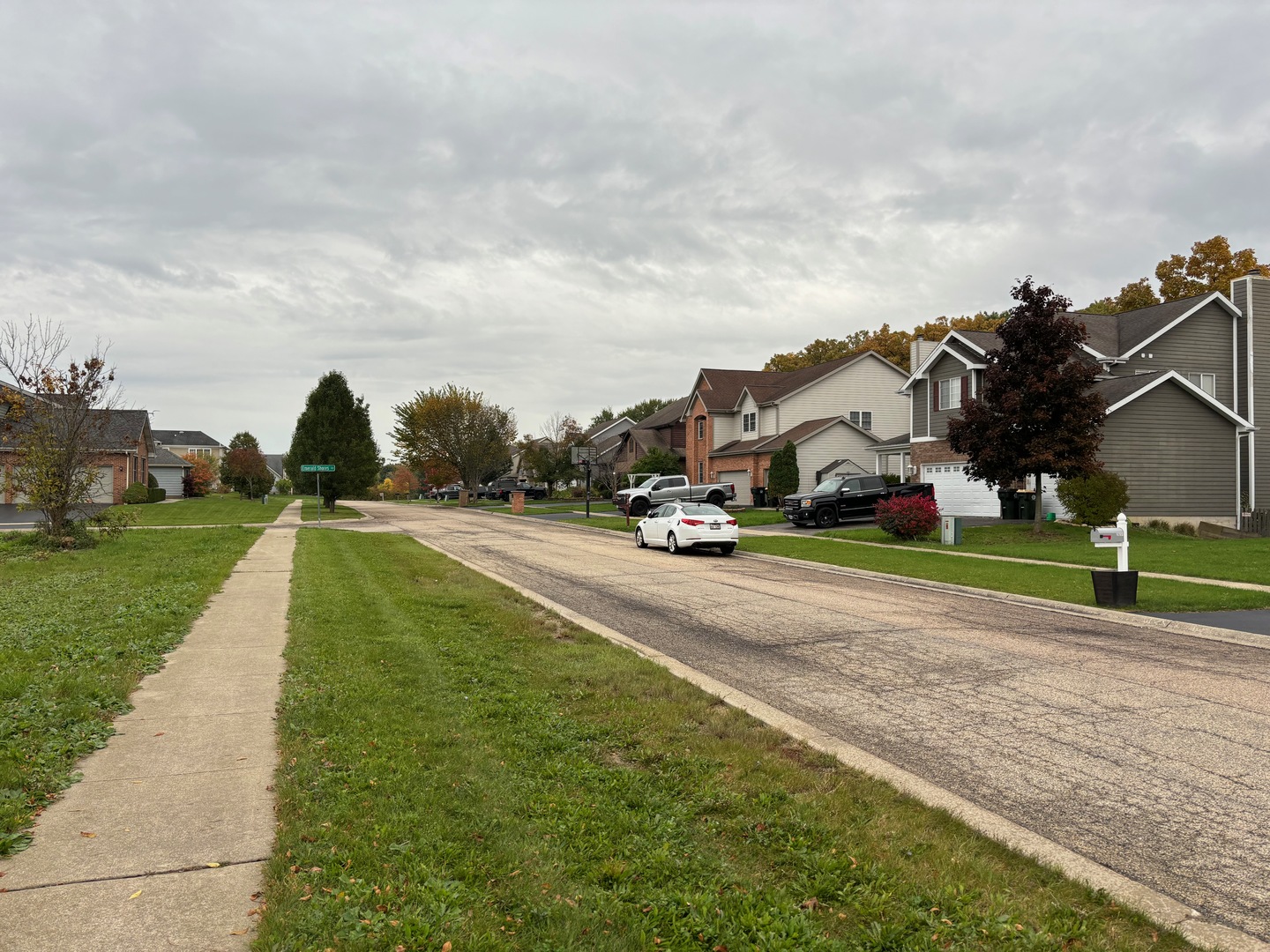 26297 West Larkin Lane Ingleside, IL 60041 - Photo 8 of 10 a view of a street with houses
