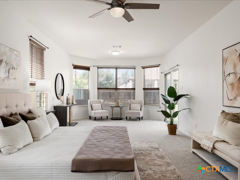 18817 Star Gazer Way Pflugerville, TX 78660 - Photo 19 of 36 a living room with furniture