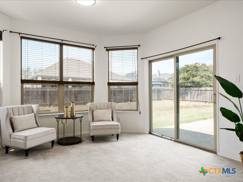 18817 Star Gazer Way Pflugerville, TX 78660 - Photo 20 of 36 a living room with furniture and a large window
