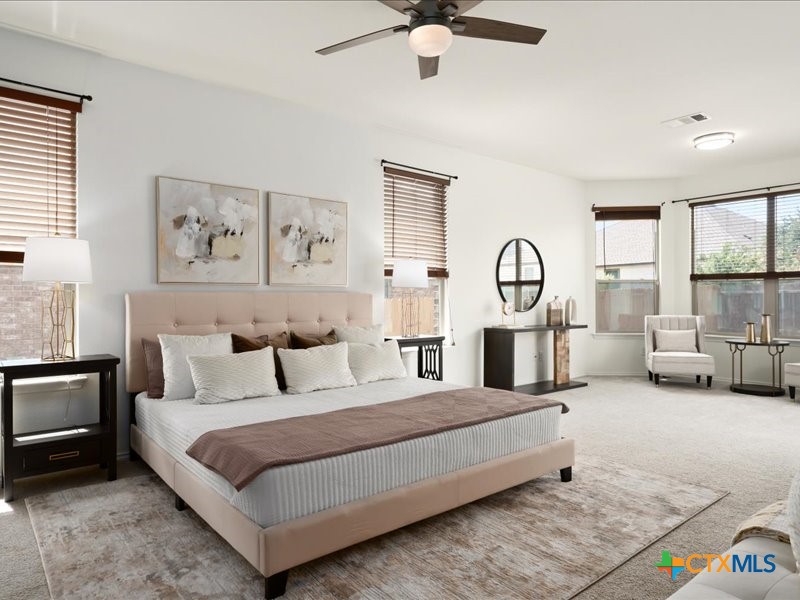 18817 Star Gazer Way Pflugerville, TX 78660 - Photo 6 of 36 a spacious bedroom with a large bed and a chandelier
