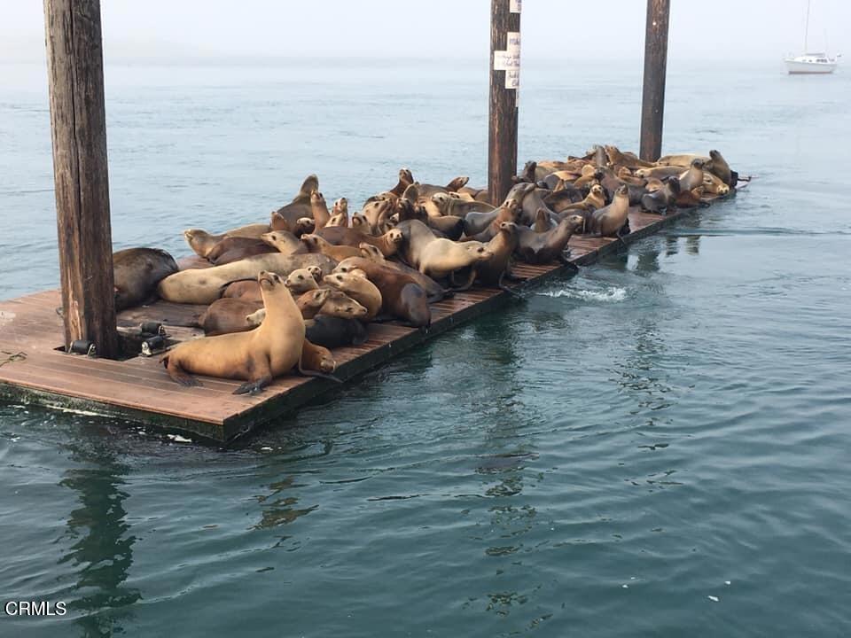 2177 Eastridge Trail Oxnard, CA 93036 - Photo 56 of 58