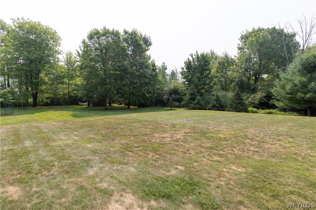 6733 Scherff Road Orchard Park, NY 14127 - Photo 38 of 39