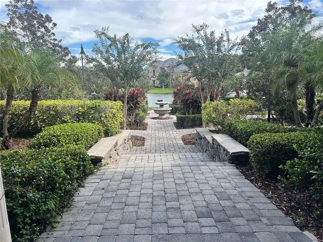 a view of a yard with plants