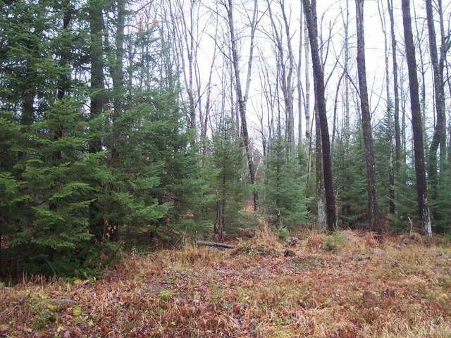 On Lone Pine Road Fifield, WI 54524 - Photo 8 of 16 Gallery Image 8