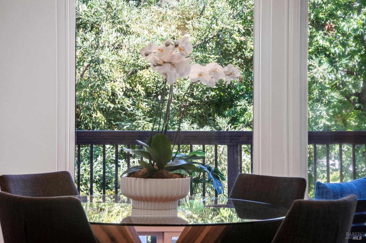 1219 Grand Avenue, Unit 5 San Rafael, CA 94901 - Photo 9 of 18