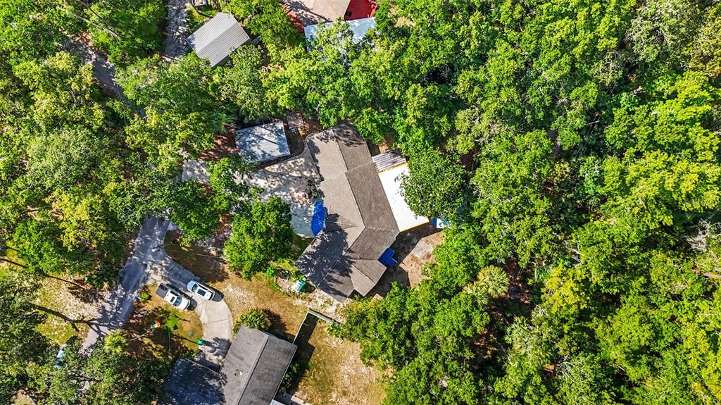 4586 Flambeau Loop Homosassa, FL 34448 - Photo 70 of 80