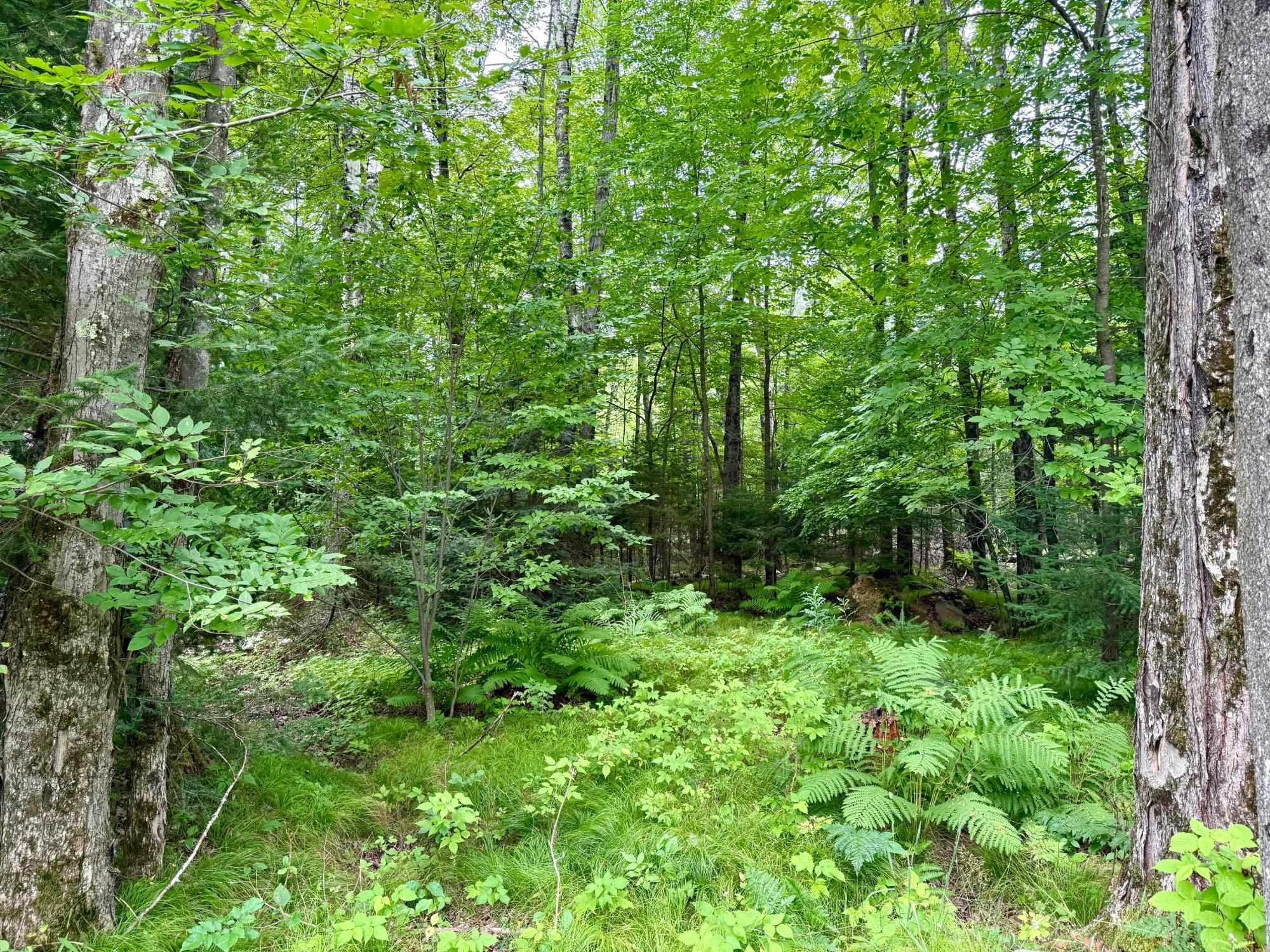 W6845 Disappearing Creek Road Phillips, WI 54555 - Photo 23 of 45