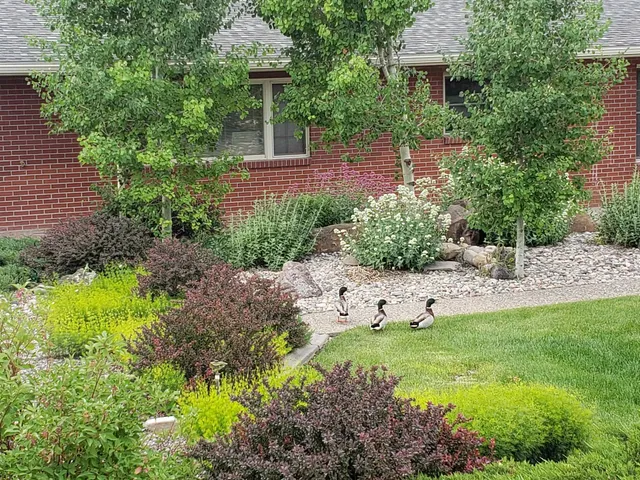 $1,000,000 | 685 Crestridge Drive, Grand Junction, CO 81506