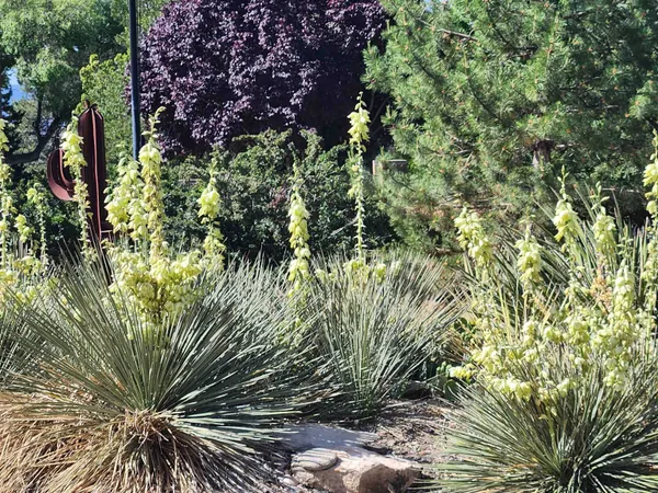 $970,000 | 685 Crestridge Drive, Grand Junction, CO 81506