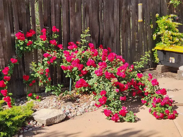 $970,000 | 685 Crestridge Drive, Grand Junction, CO 81506