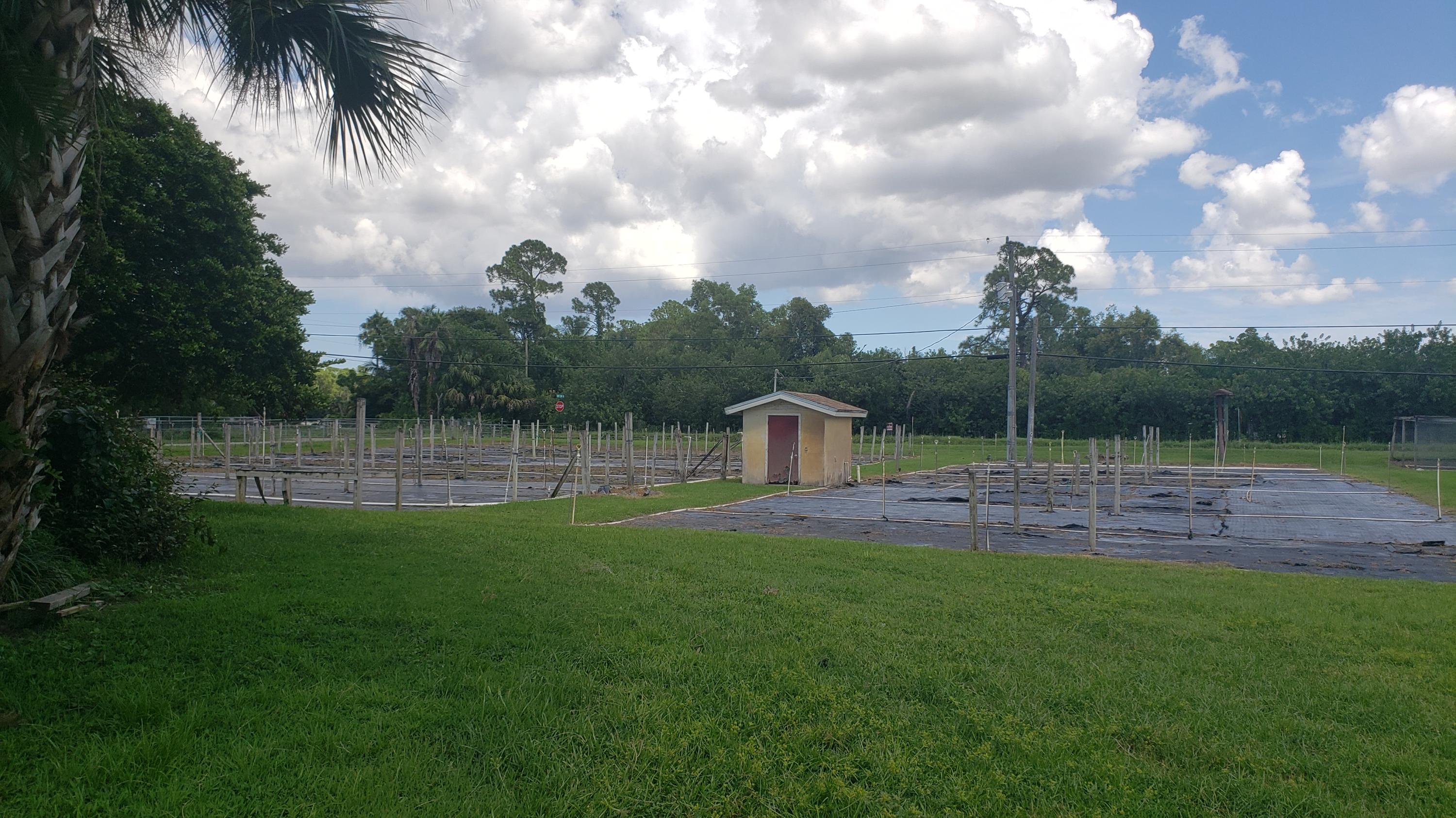 2141 D Road Loxahatchee Groves, FL 33470 - Photo 25 of 29 20200818_151814