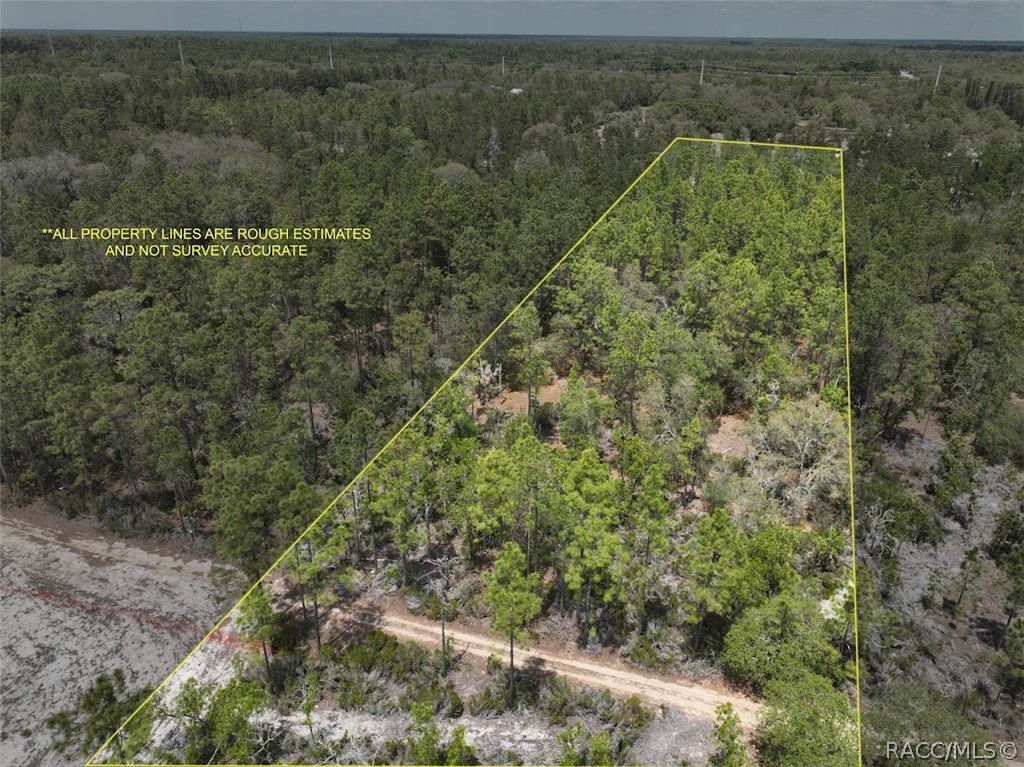 Tbd Northeast 56th Street Bronson, FL 32621 - Photo 2 of 26