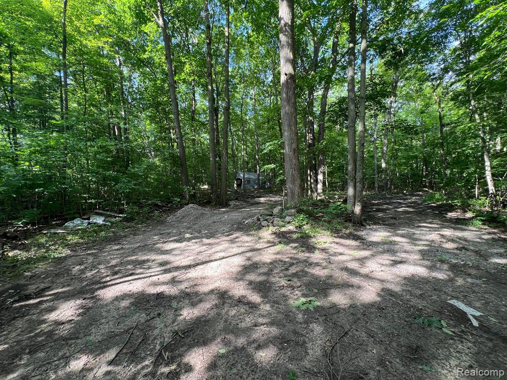 0 North Hadley Road Ortonville, MI 48462 - Photo 8 of 13