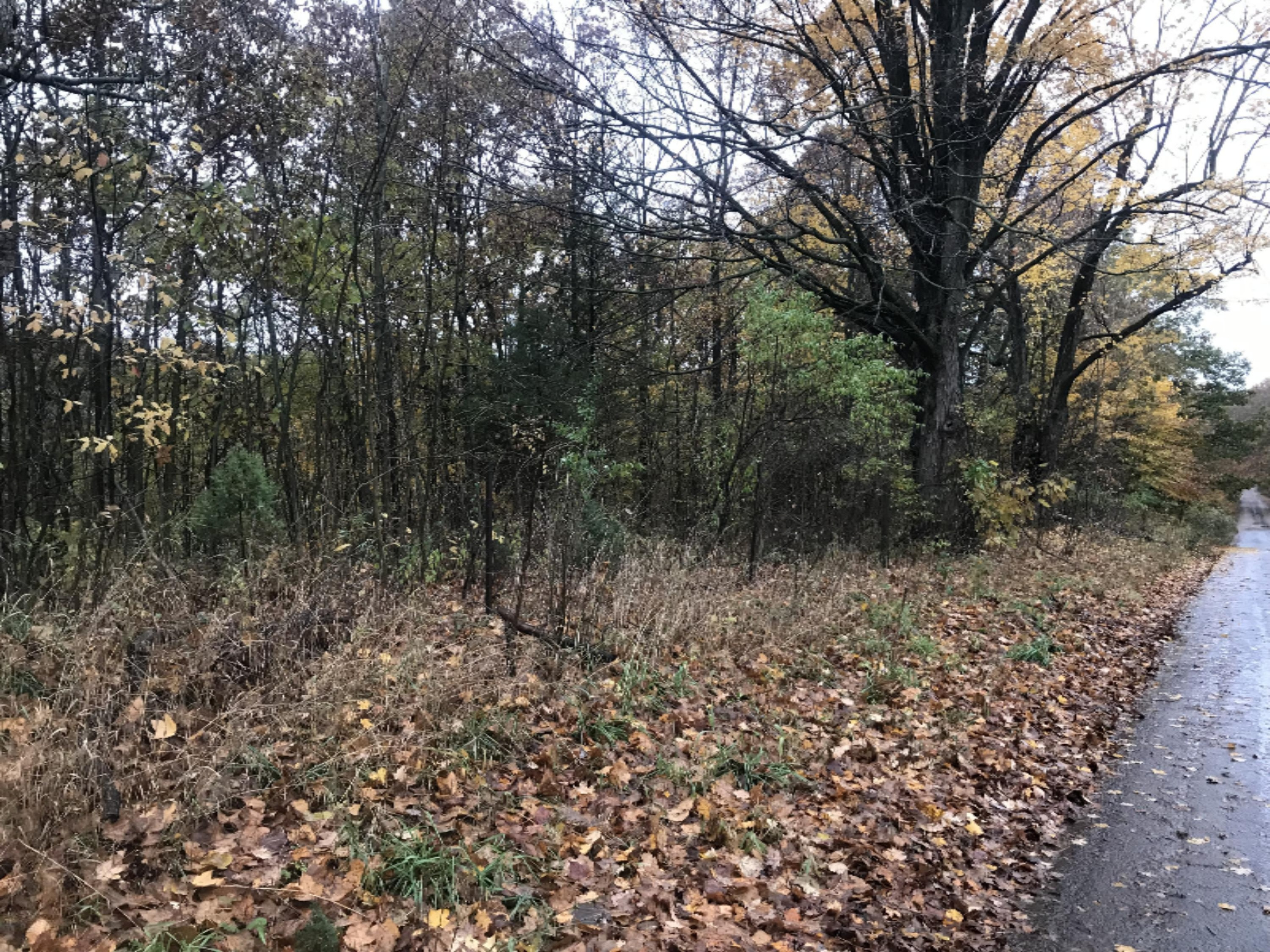 Lot A Garbow Road Middleville, MI 49333 - Photo 1 of 10 Photo Oct 30, 4 50 27 PM
