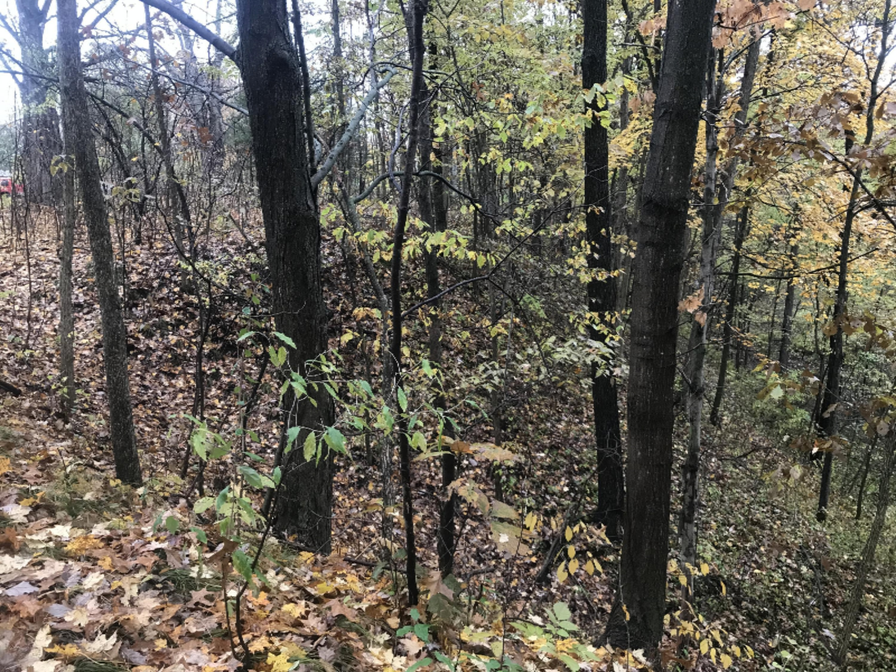 Lot A Garbow Road Middleville, MI 49333 - Photo 8 of 10 Photo Oct 30, 4 46 29 PM