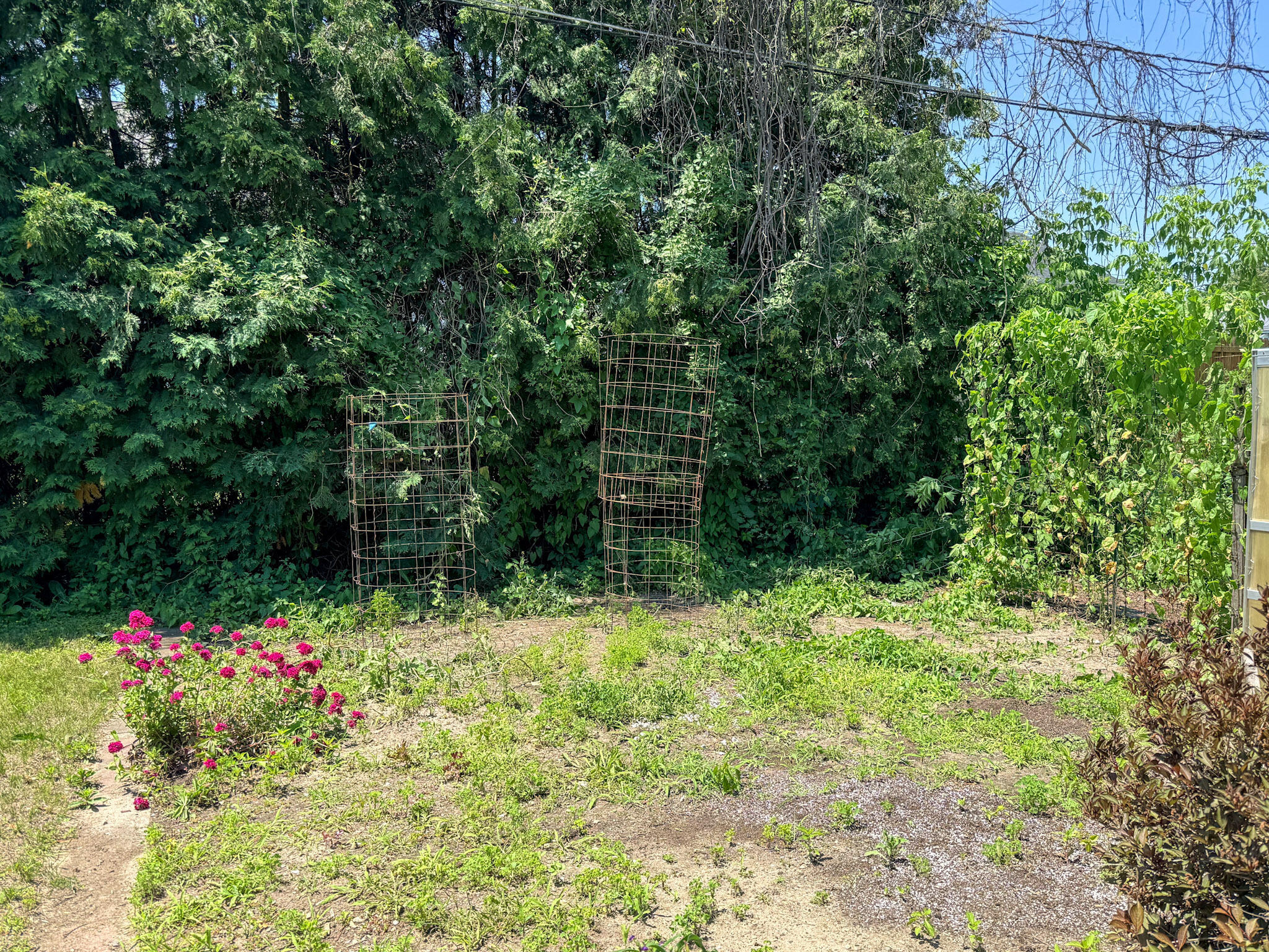 33 Addoms Street Plattsburgh, NY 12901 - Photo 27 of 34