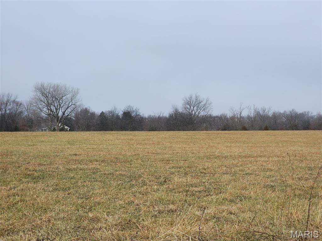0 Mette Road Moscow Mills, MO 63362 - Photo 3 of 15