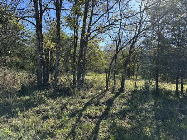 $2,000,000 | 8633 Webb Road, College Grove, TN 37046