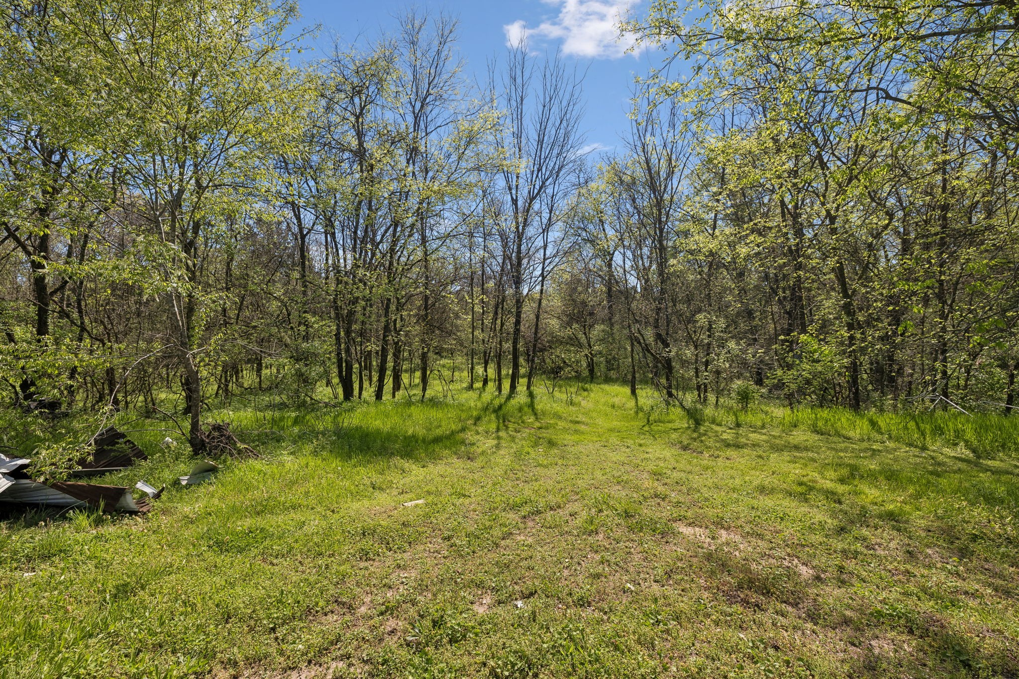 8633 Webb Road College Grove, TN 37046 - Photo 6 of 18 Gallery Image 6