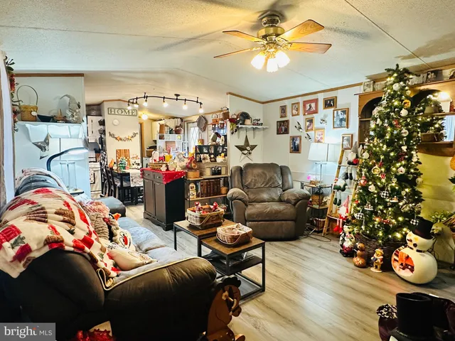 a living room with lots of furniture and a chandelier