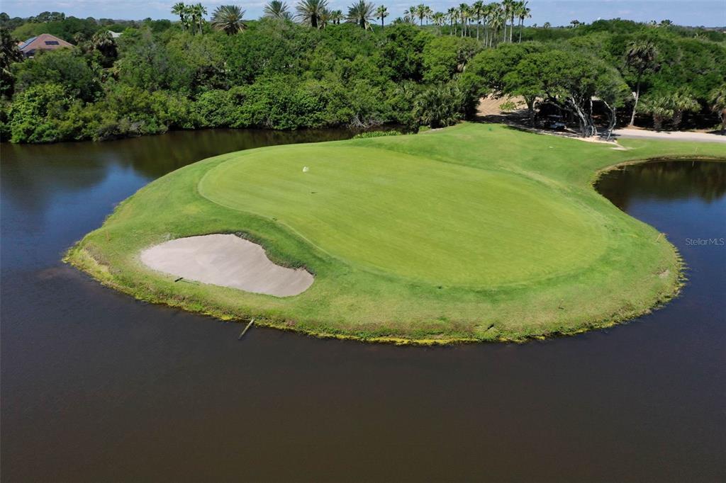 8 Flagship Drive Palm Coast, FL 32137 - Photo 26 of 31 a view of a swimming pool in a yard