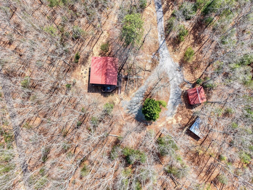 450 Mull Valley Road Morganton, GA 30560 - Photo 33 of 36 a backyard of a house with a tree