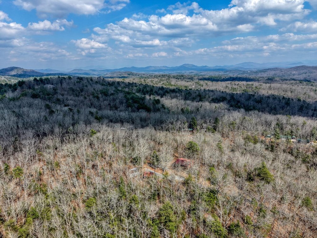 450 Mull Valley Road Morganton, GA 30560 - Photo 34 of 36 a view of a yard