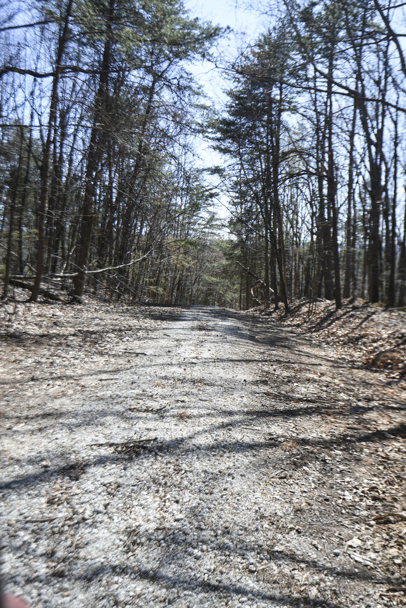684 Phillips Hollow Road Chickamauga, GA 30707 - Photo 68 of 76 Right of Way