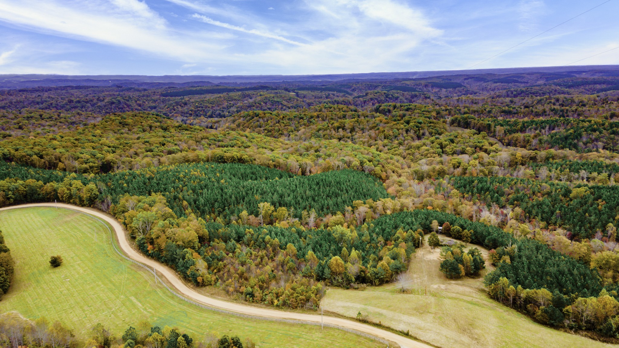 849 Walker Road Mount Pleasant, TN 38474 - Photo 2 of 24 Gallery Image 2