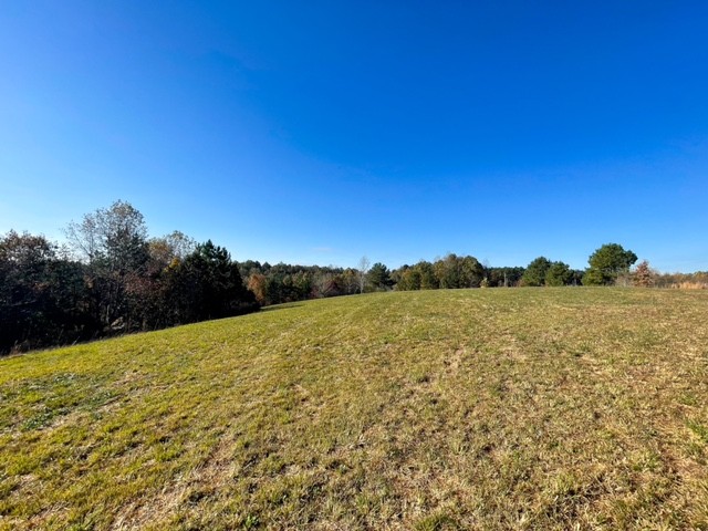 849 Walker Road Mount Pleasant, TN 38474 - Photo 15 of 24 Gallery Image 15