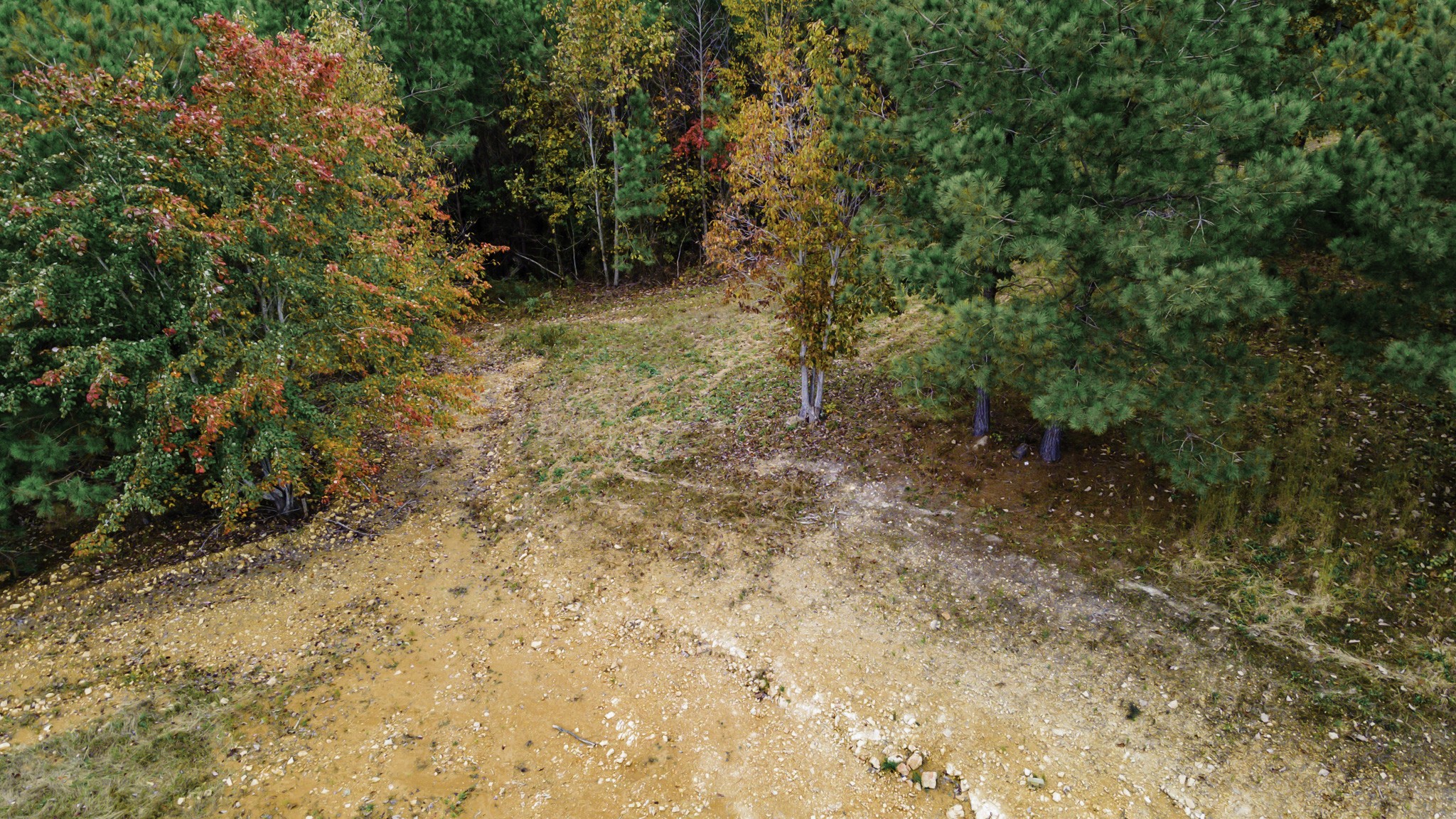849 Walker Road Mount Pleasant, TN 38474 - Photo 18 of 24 Gallery Image 18
