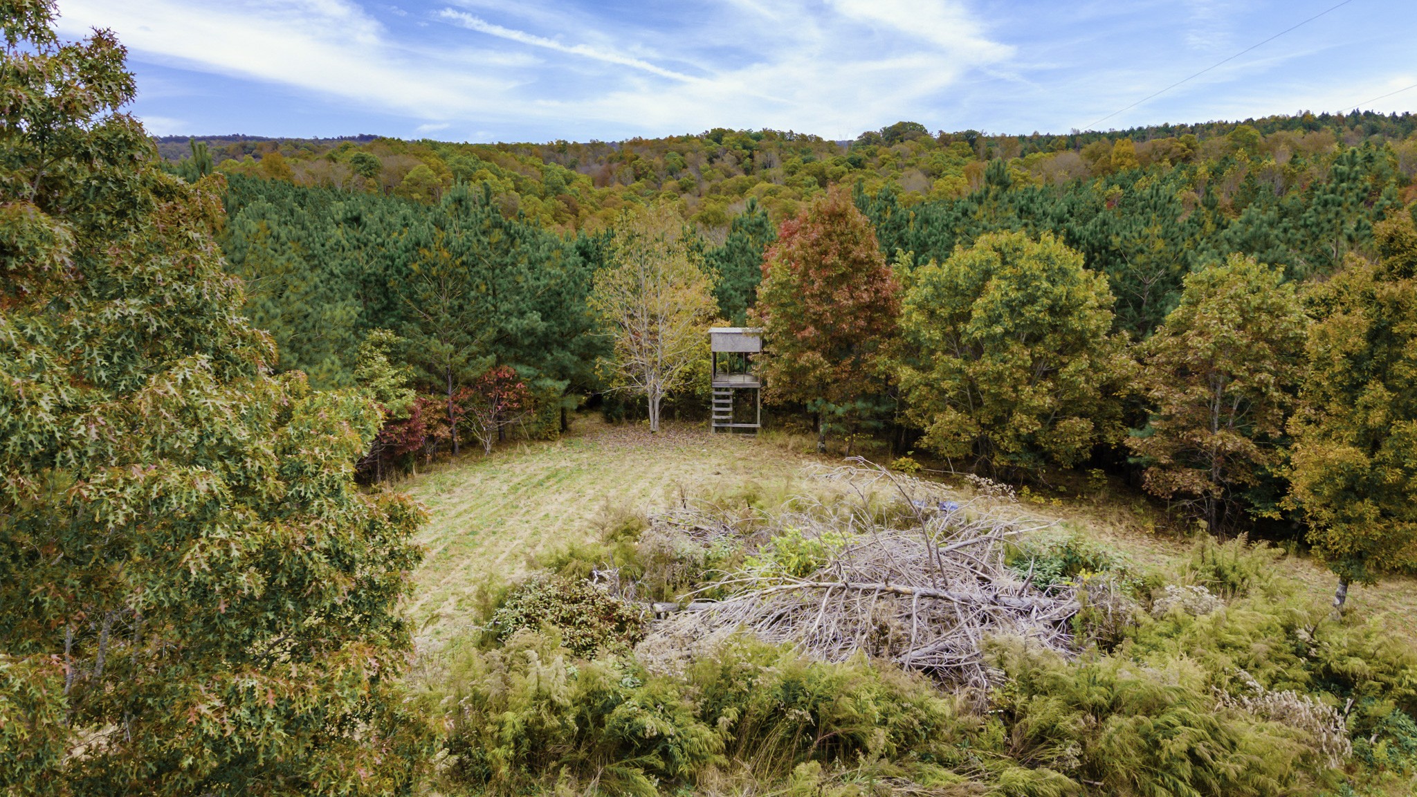 849 Walker Road Mount Pleasant, TN 38474 - Photo 19 of 24 Gallery Image 19