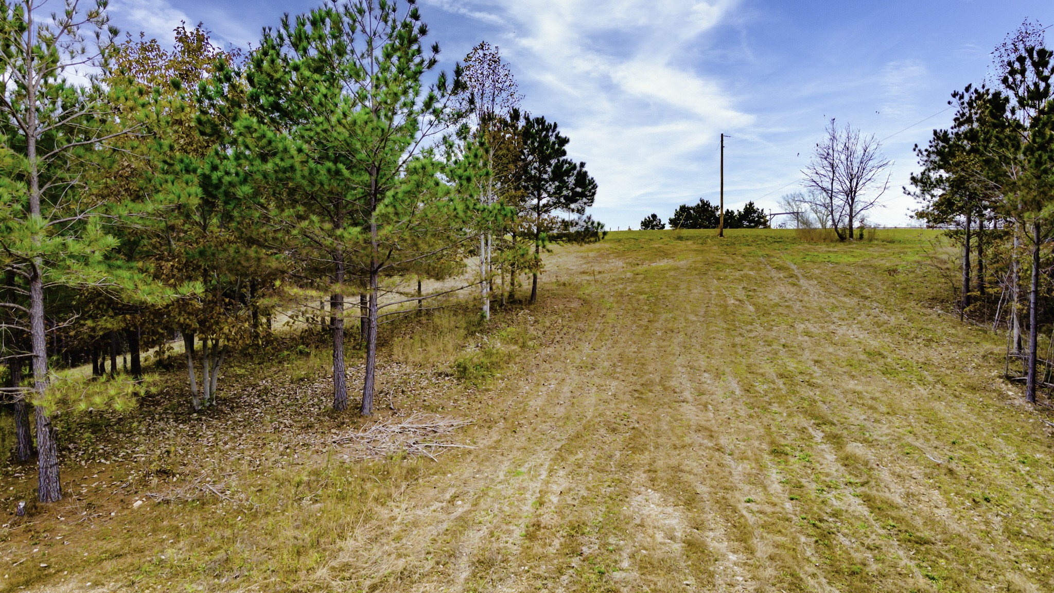 849 Walker Road Mount Pleasant, TN 38474 - Photo 20 of 24 Gallery Image 20