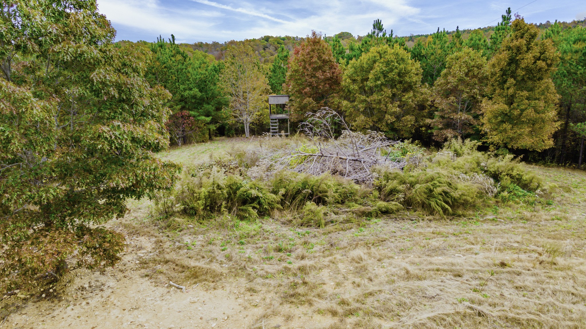 849 Walker Road Mount Pleasant, TN 38474 - Photo 21 of 24 Gallery Image 21